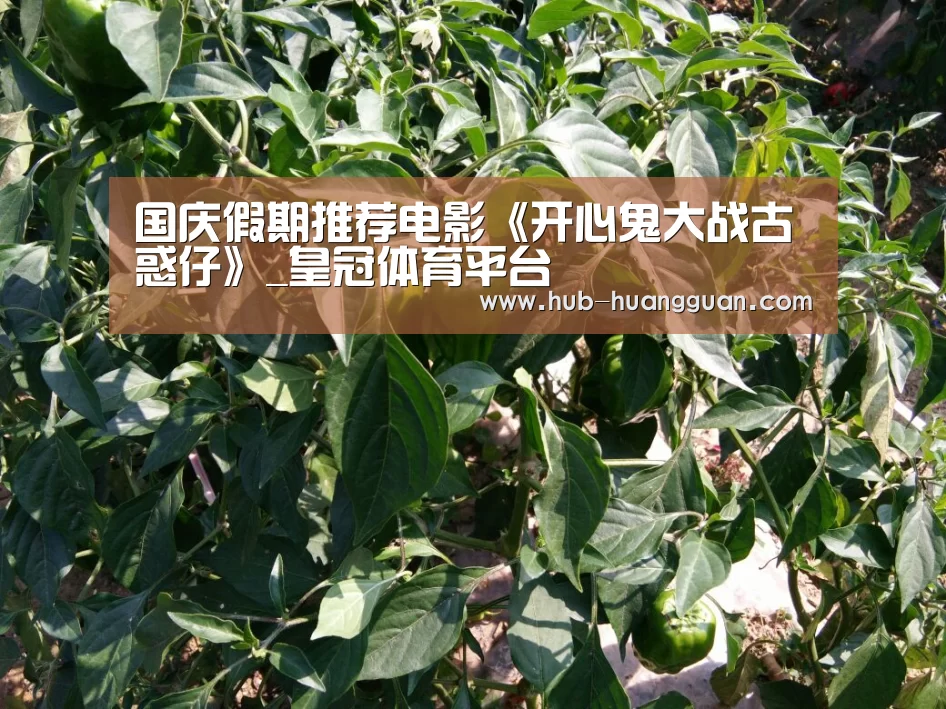 国庆假期推荐电影《开心鬼大战古惑仔》_皇冠体育平台(图1) 皇冠体育平台
