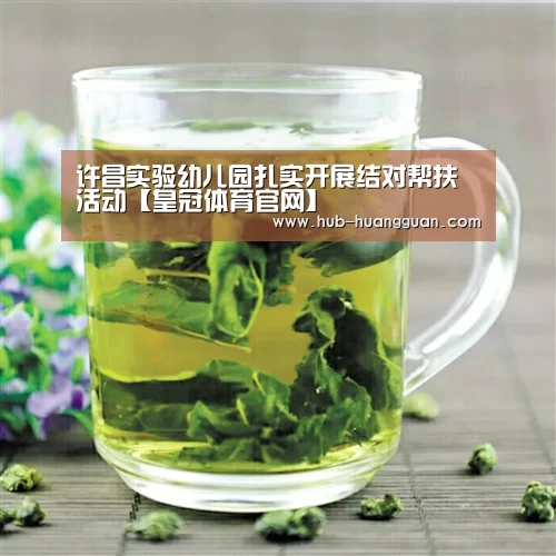许昌实验幼儿园扎实开展结对帮扶活动【皇冠体育官网】(图4) 皇冠体育