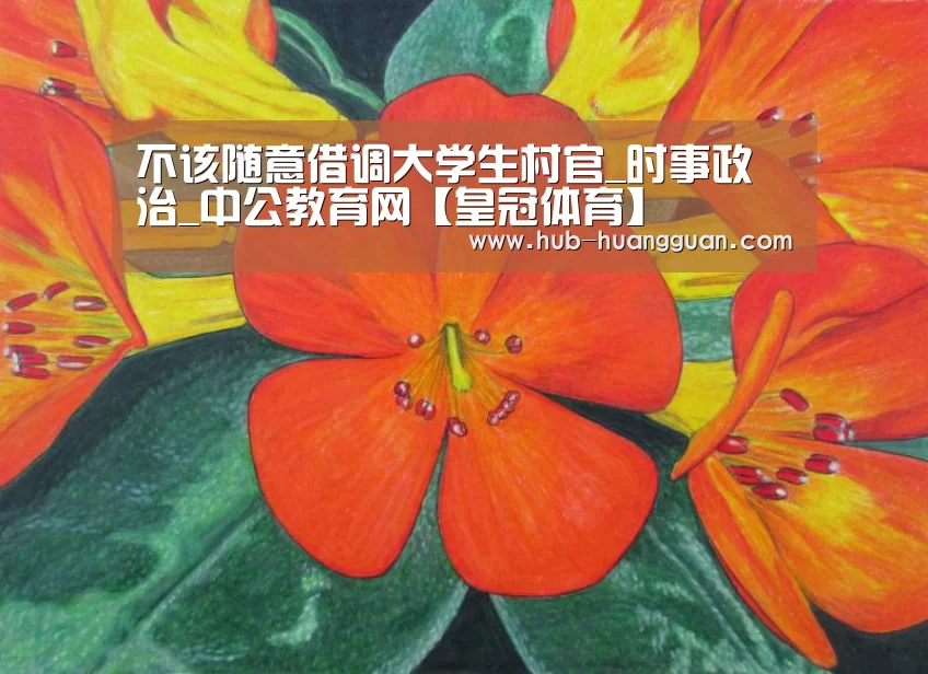 皇冠体育官网