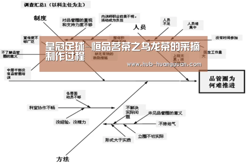 皇冠足球-恒品茗茶之乌龙茶的采摘制作过程(图2) 皇冠体育平台